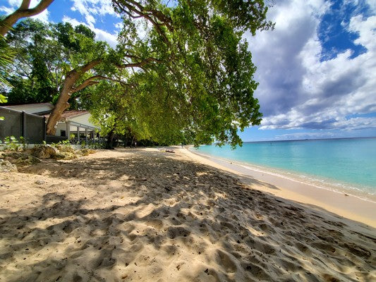 #TracingOurRoots through Barbados