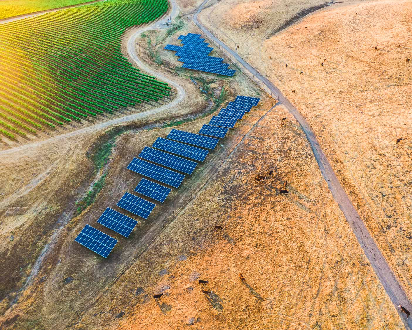Aerial view of a solar farm with multiple rows of blue solar panels installed on a dry, grassy hillside next to a dirt road and a green vineyard.