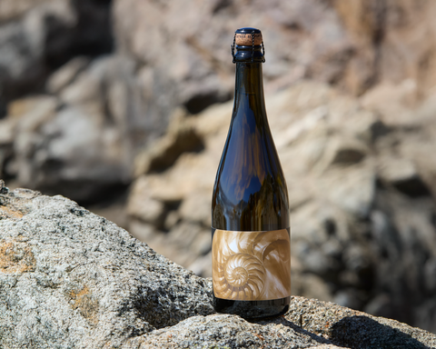 McBride Sisters Collection Reserve Blanc de Blancs Sparkling Wine 'Golden Spiral' Santa Lucia Highlands, California 2021