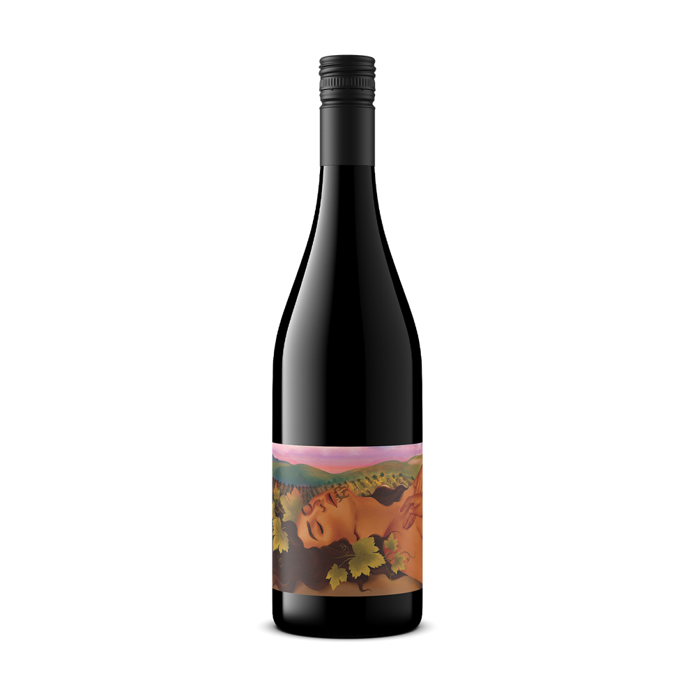 A dark glass wine bottle with a black screw cap and a colorful illustrated label, centered on a plain white background.